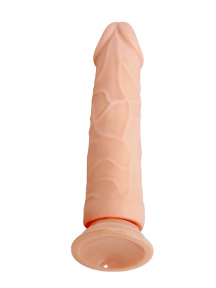 Barbara Calvin 7,8inch Dildo with Suction Cup BW 7013R -5